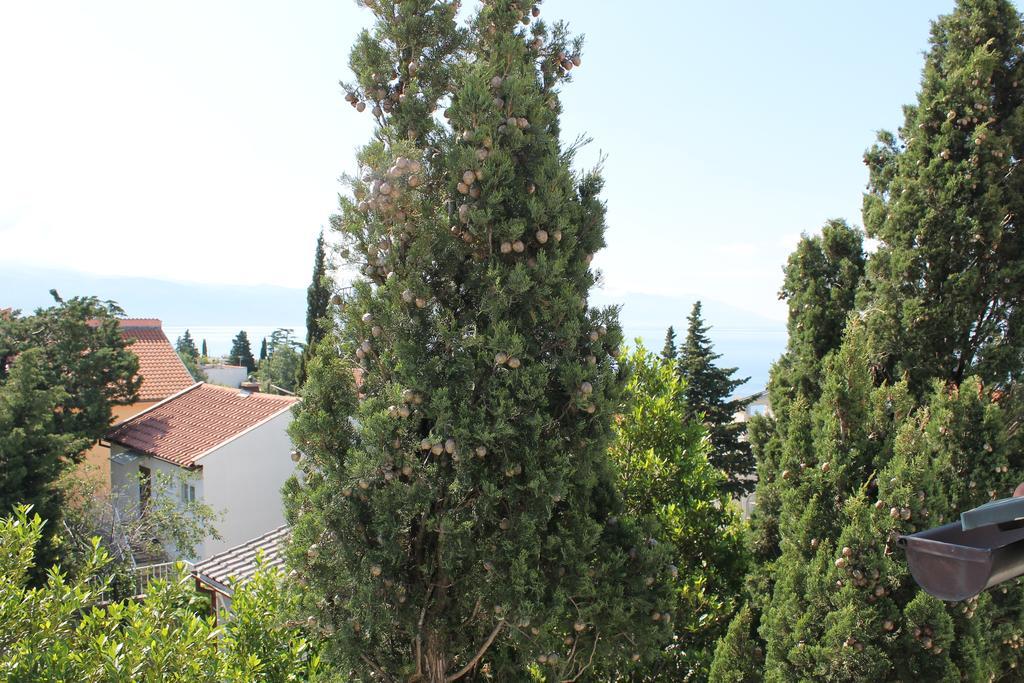 Apartments Strmecki Novi Vinodolski Εξωτερικό φωτογραφία